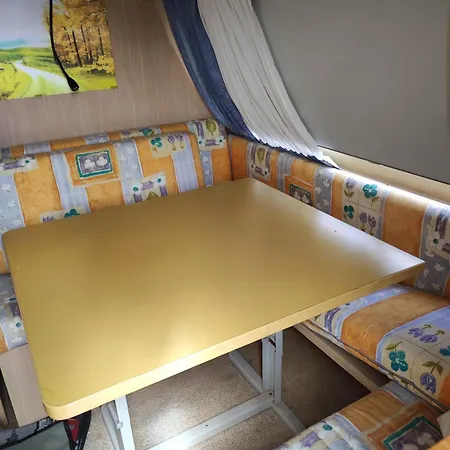Tara Telde